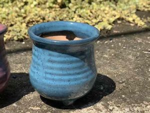 Chậu trồng cây sen đá/xương rồng xuất Hàn 324 (8cm)