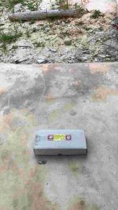 BATU ASAH 1200 ORANG ASLI