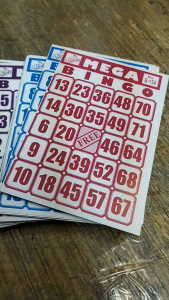 100-Piece Bingo Cards Set – Reusable Durable & Perfect for Game Nights