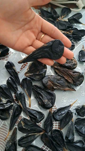 Mật trăn phơi khô loại size đại .