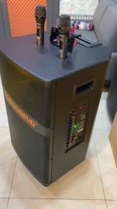 Loa Kéo Di Động Paramax Dansing HK-396S