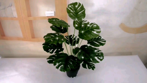 monstera /keladi/ fiddle fig artificial plant pokok hiasan