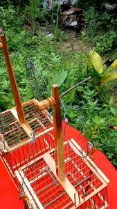 เพนียดต่อนก ใช้ง่ายใช้ดี ทนทาน ต่อนกได้หลากหลายชนิด