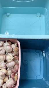SIAP KUPAS / BAWANG KUPAS - Bawang Merah Kecil (Shallot) / Bawang Merah Besar / Bawang Putih / Bawang Holland (Vacuum Sealed) (500gm/1kg)