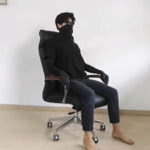 Executive Chair Office Chair Director Computer Gaming Chair Ergonomic High Back Chair Kerusi Pengarah boss chair