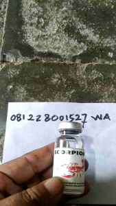 Scorpion XT Doping Ayam Impor - Ayam Bertaji Petarung