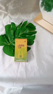 Salimah Slim SR12 Original herbal alami Mengandung Bahan Alami Ekstrak Jati Belanda & Rimpang Bangle Yang Membantu Mengurangi Lemak Tubuh