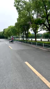 Xe đạp vua ba bánh " XẾ SANG XỊN ĐỘC LẠ "