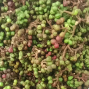 Andaliman Segar Andaliman Raya Bumbu Khas Medan 50 Gram