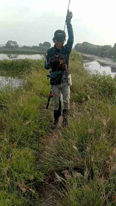 COD soft frog body slim 4cm 5 gram hook 1/0 anti lengket SM LURE