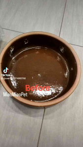 Ceramic Pet Food Bowl for Dog Cat Rabbit Rabbit (Pack With Box)