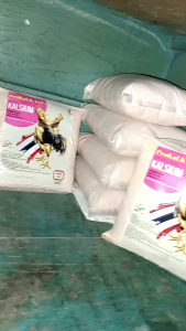 KALSIUM AYAM PROKALK VIT+ prime