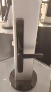 Moli lock Smart Door lock