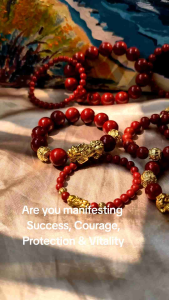 Feng Shui Red Coral Pixiu 18k Vermiel Gold Attract Prosperity Wealth Activator Bracelet
