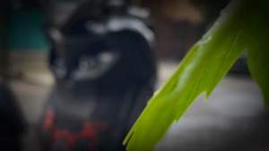 Deckpad Protector Yamaha LEXI LX 155 Pelindung Dashboard Lexi LX Exie Art