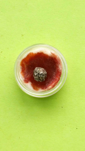 Batu Tarikan Alam: P3TIL4SAN EY4NG DIP0 (P3NG4S1HAN)