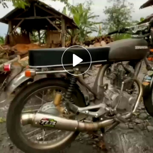 SELINCER ONLINE TRL TIPE KOMPETISI 25cm UNTUK SEMUA MOTOR