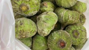 [Chỉ Giao HCM] 1Kg Trái Vả Huế