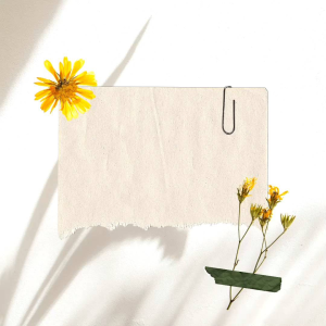 Telly Atasan Kerah Rajut Wanita Kaos Vneck Tali Serut Style Korea