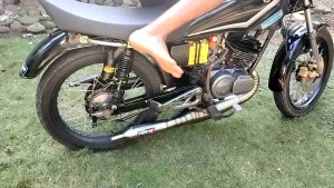 Knalpot Racing RX King Kolong Phiton Steinlis Lambung 37cm