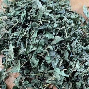 Daun mindi kering 500 gram ready-az