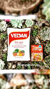 Bột Ngọt Vedan 1 kg Hạt Nhuyễn - Tặng 1gói Hạt Nêm Aji Ngon 55g