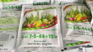 250g Phân bón lá Hợp Trí NPK 7-5-44+TE RA HOA SỚM HOA TRỔ ĐỀU ĐỒNG LOẠT NUÔI TRÁI SẦU RIÊNG CÀ PHÊ THANH LONG LÚA