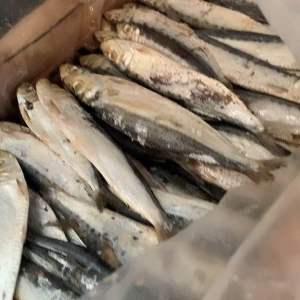 IKAN ASIN JAPU SIRO SUPER