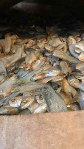 Ikan Asin Sepat Kecil: Camilan Rendah Kalori yang Menggugah Selera
