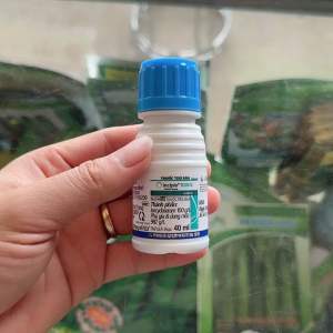 Thuốc trừ sâu nhện bọ nhảy bọ trĩ Incipio 100DC 40ml