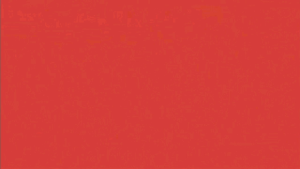 [全新中文光碟] PS4 PS5 双人游戏 国夫君的热血三国志 全员集合 River City Saga Three Kingdoms Sony H2 Interactive Action Games