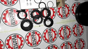 SC20 SC30 Seal kit Sanchin Seal Pompa Steam Ssnchin