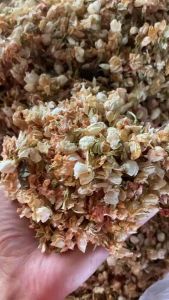 Trà Hoa Nhài Sấy Khô Nguyên Bông Loại 1