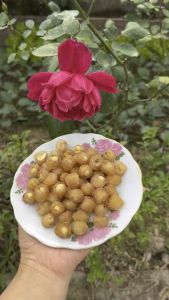 Long nhãn ôm hạt sen đặc sản Hưng Yên loại 1 hộp 200gr món quà tết ý nghĩa cho người thân