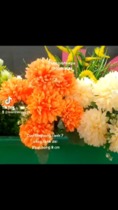 Cành cúc Bingbong dài 31cm cành 7 bông size 8cm.Trang trí lọ hoacổng cướichụp Decor.