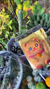 ธูปกันยุง ส้มโอกันยุง ธูปเทียน ธูปไล่ยุง สมุนไพร100%