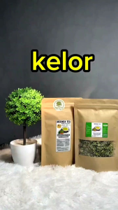 Teh Herbal Daun Kelor | Super Food Atasi Anemia Kanker dan bergizi tinggi
