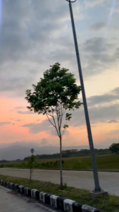 Knalpot Brong Cumi Cumi Darat Buang Samping PNP L300 Euro 2