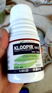 KLOOPIR 666 EC 250 ml Gulma Semak Belukar Gulma berkayu dan batang lunak Langsung Mati! Herbisida Super Ampuh Solusi Instan Basmi Gulma. Sekali Semprot Beres