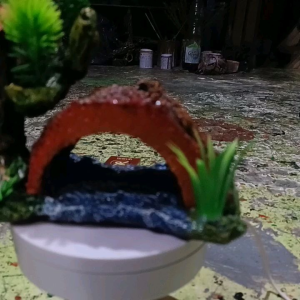 Hiasan Aquarium Aquascape: Mempercantik Akuarium Ikan Rumah Anda