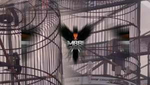 VITAMIN BURUNG MBB POWER JOS kicau mania