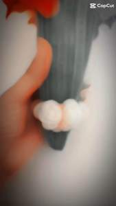 กรวยดอกไม้ไหว้ครู #กรวยดอกไม้กำมะหยี่#ลวดกำมะหยี่#ดอกไม้ไหว้ครู#ดอกเข็ม#ดอกมะลิ#ดอกมะเขือ#diyจากลวดกำมะหยี่