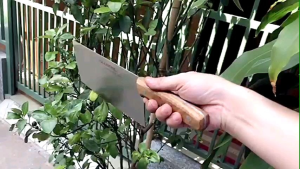 Dao chặt xương gà vịt Nhật nặng 500g . Dao Nhật bãi