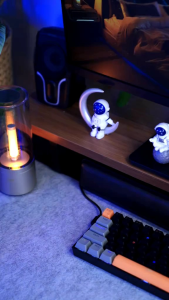 ROBOT PowerBank RT12 10000 mAh Dual Input Output Slim