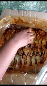 Ikan Asin Serba 250gr: Aneka Ikan Asin Murah & Fresh