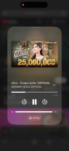 แฟลชไดร์ฟ mp3 รวมเพลงลูกทุ่ง ฟังติดหู เพราะติดใจ