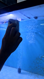 HÍT NAM CHÂM CHÀ HỒ VỆ SINH BỂ CÁ CẢNH VIPSUN SIÊU MẠNH VỆ SINH SIÊU SẠCH