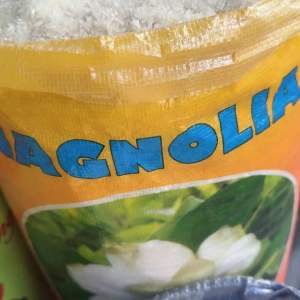 Quality Premium Grains Magnolia Super Angelica Rice/Bigas available in 25KG 10KG 5KG