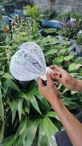 KELOPAK/CUP BUNGA LAMPU HIAS MODEL TULIP BAHAN KAIN BRUKAT + FITINGAN