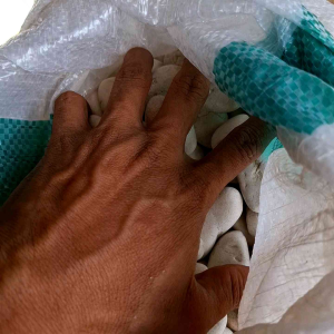 Batu Koral Putih Kemasan 1Kg Untuk Hiasan Aquarium Dan Pot Bunga